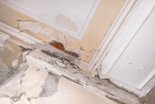 Wall Repair / Reparación de Paredes
